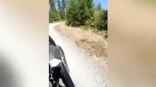 Try Not To Laugh At These Funny Videos - Fails That'll Make Your Day! 2