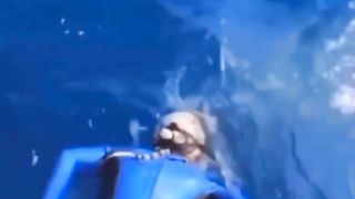 HAMPIR DI SIKAT SAMA IKAN HIU#ajokoyen #fishing #mancing #shortvideo.