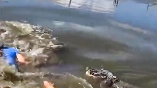 MENAKLUKKAN BUAYA DARAT #ajokoyen #fishing