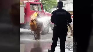 TOTAL IDIOTS AT WORK 2023 2