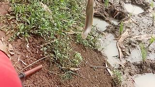 Catfish 3