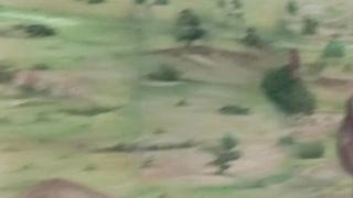 Beautiful view 99