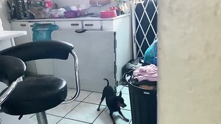 Funny min pin