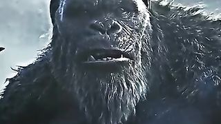 Godzilla x king kong