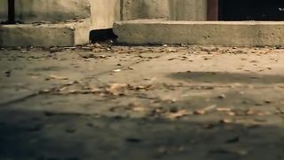 Gym_Class_Heroes__Stereo_Hearts_ft._Adam_Levine_[OFFICIAL_VIDEO](360p).