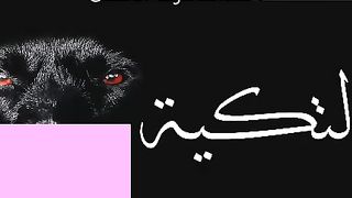 حبكم