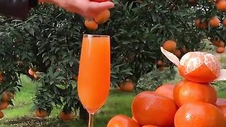 How to make orange ???? to make funny ???? video of