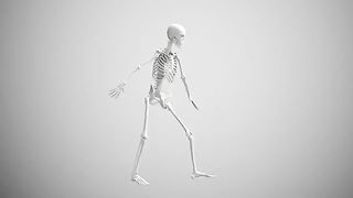 Squelette qui danse