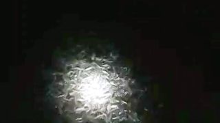 Setelah melakukan pergantian air kolam, ikan lele terlihat sehat dan gesit