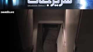 Shareer Jinnaat