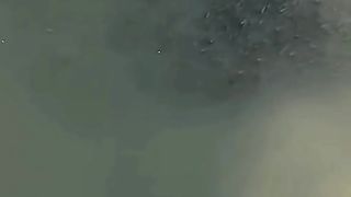 fishing, funny video