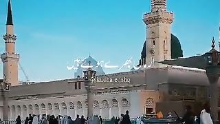 Video 444