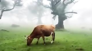 ????تلاوۃ القرآن المجید????