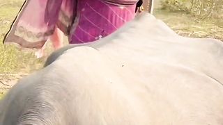 Desi Girle-cG3xJZUnY2k-720p-1704467245.