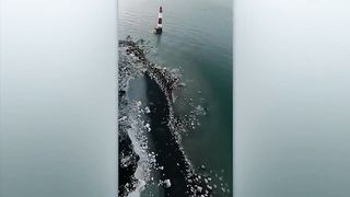 If The Drone Didn't Capture This, No One Would Believe It