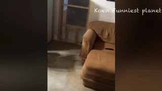 Funny Dogs And Cats Videos 2023 ???? - Best Funniest Animal Videos Of The Month 9