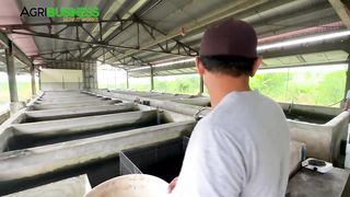 Crayfish Farming in the Philippines_ Pinaka magandang Pagkakitaan Ngayon!
