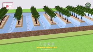 Integrated COCONUT and FISH Farming _ Integrated Farming System Planning & Ideas _ Farm Design