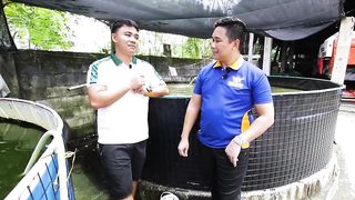 BEST HITO FARMING _ MAY KITA SA AGRI_ UP TO 20-30K ANG POTENTIAL INCOME KADA ISANG CIRCULAR POND