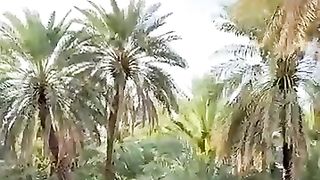 Chadar say saya