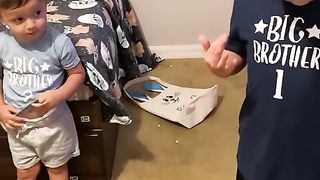 Funny action 87