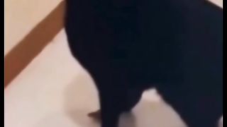 Funny action 89