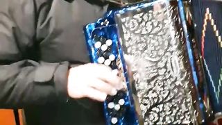 José Carvalhal, grande tocador de concertina.