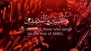 Tilawat e Quran shorts videos