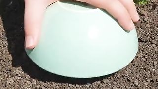 How to get waooow to get waooow tree to make growing