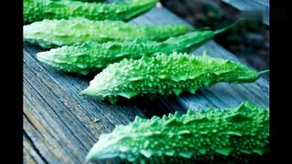 10 Health Benefits Of Bitter Gourd
