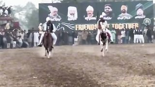 Sports 33