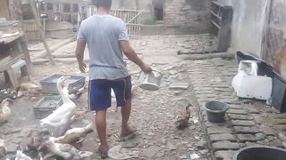 Duck and Chicken Farmer Next to the House