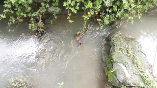 Sungai di desaku