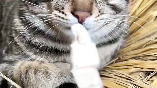 Funny action 91