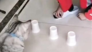 Funny actions 92