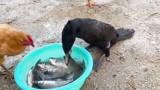Amazing Bird 2