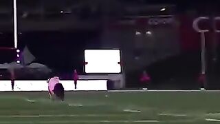 World record for longest catch at a sporting event and it’s by a dog! (via @Frisbee Rob) 2