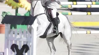 horse riding 2
