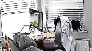 Viral_videos_of_the_internet_funny_fails_????????_part_2__#shorts(360p).