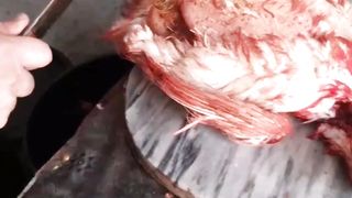 How to make chicken pieces/murghi kaise zaba karte hai/how cut chicken pieces/welcome home kitchen