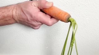 Why you should hide a carrot in your wall 2