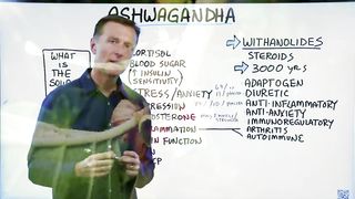 The Benefits of Ashwagandha