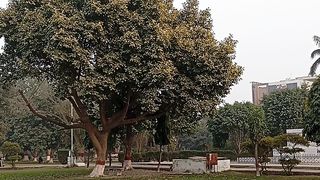 The finest quality nature view for yoga and meditation ????❤️