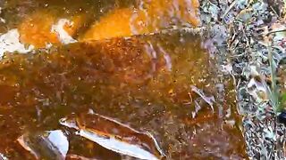 Crushing Crunchy & Soft Things! Breaking glass bottles ⚠️???? #shorts #asmr.