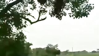 Funny video clips status fun video
