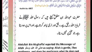 اسلامی معلومات Like share follow 396