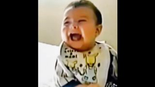 Funny cat video 2024 ???? part 2 funny animal videos 2024