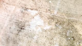 Umur 12 hari LARVA LELE masih Segede ini akibat CACING SUTERA langka