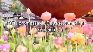 Até a promessa de Deus se cumprir na sua vida!