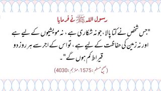 Ghar Mai Kuta Palna | گھر میں کتا پالنا کیسا ہے
